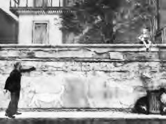 JPEG - 12.5 ko